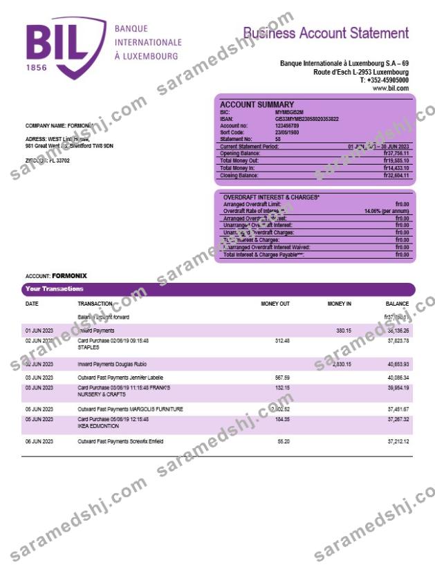Banque Internationale a Luxembourg organization checking account statement Word and PDF template